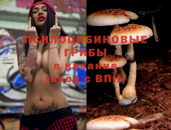 шишки Лихославль