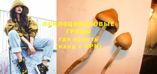 шишки Лихославль