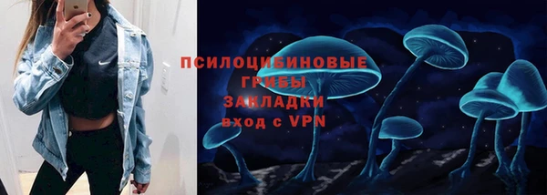 шишки Лихославль