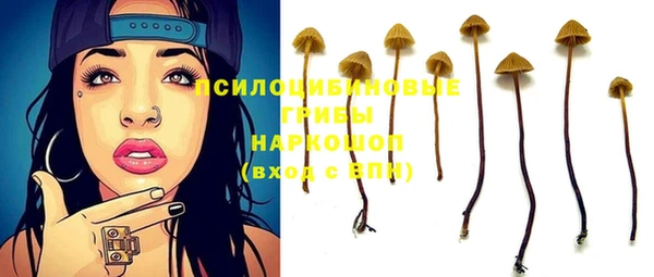 сатива Липки
