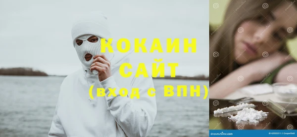 шишки Лихославль