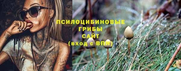 соль ск Лиски