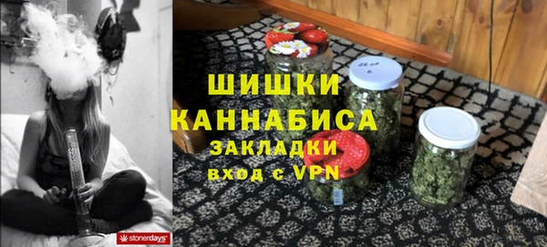 соль ск Лиски