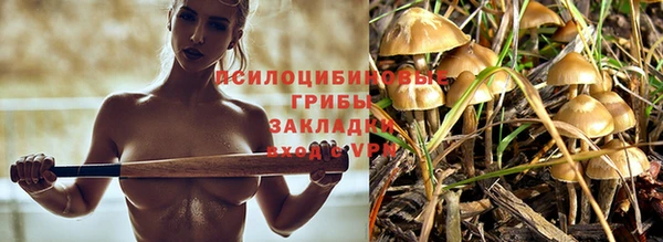 сатива Липки