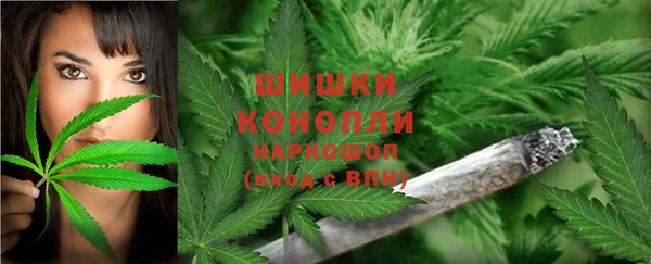 сатива Липки