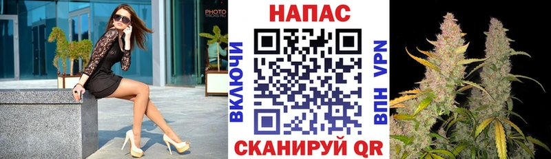 KRAKEN tor  Рудня  Каннабис конопля 